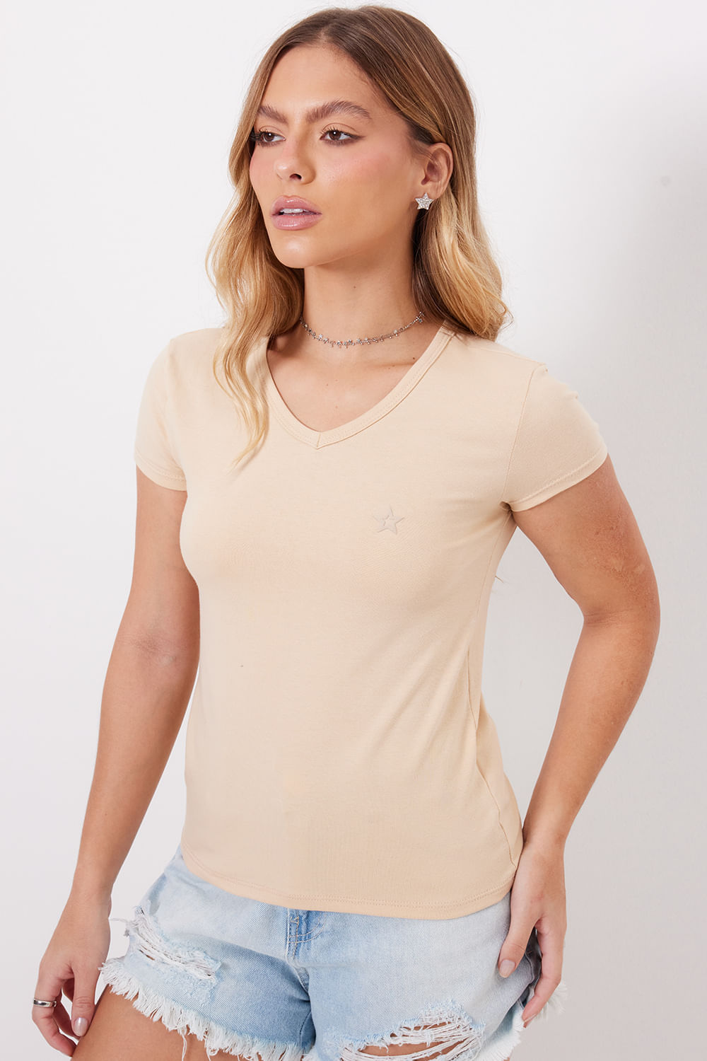 04074938_499_3-PG-KIT-CAMISETA-DESC-V